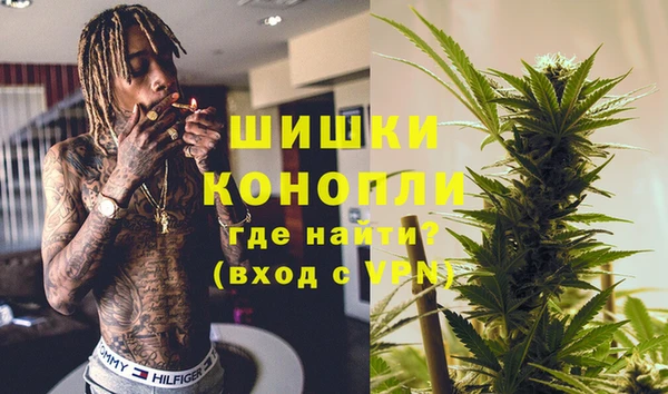 PSILOCYBIN Алзамай
