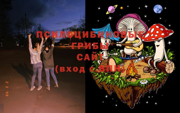 PSILOCYBIN Алзамай