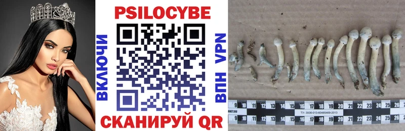 Псилоцибиновые грибы мухоморы Бодайбо