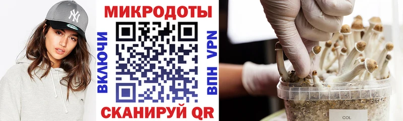 Псилоцибиновые грибы Cubensis  где можно купить   Бодайбо 